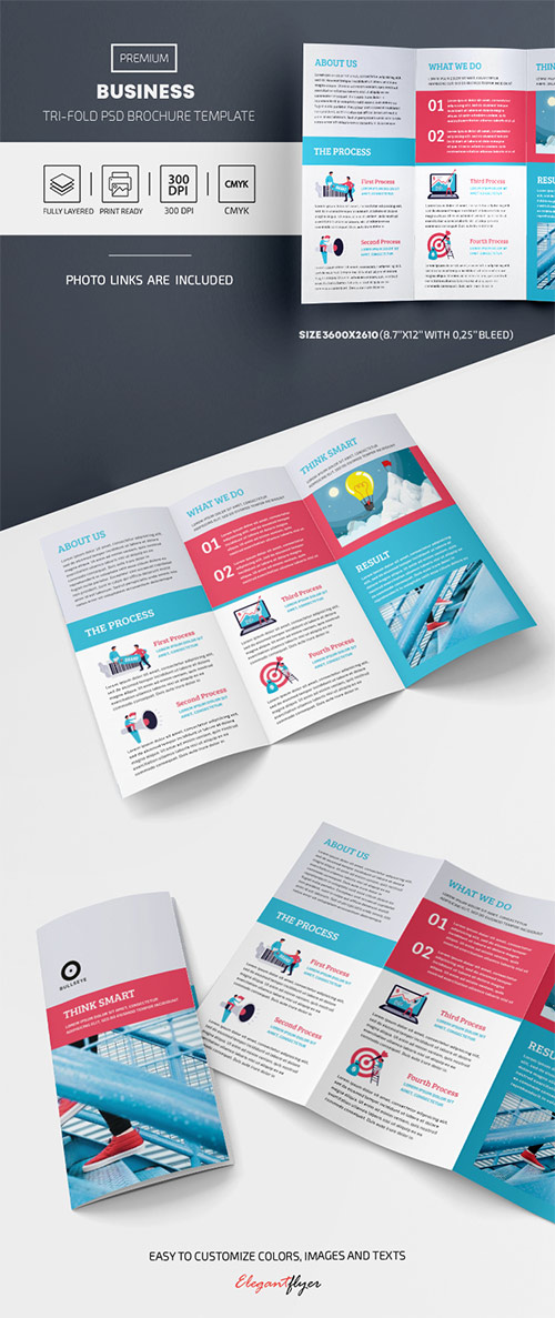 Business Tri Fold Brochure PSD Template