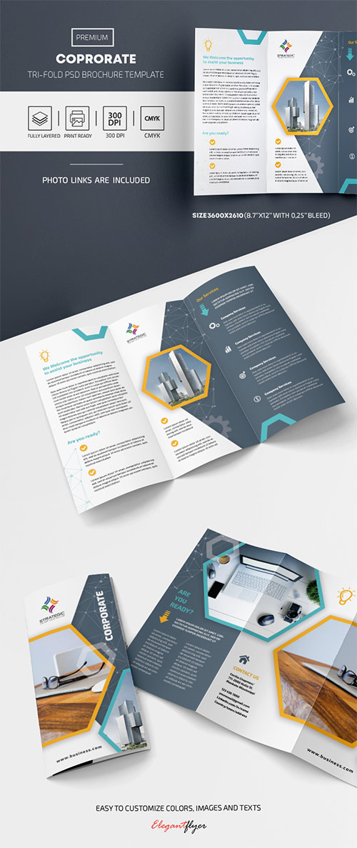 Corporate Tri Fold Brochure PSD Template