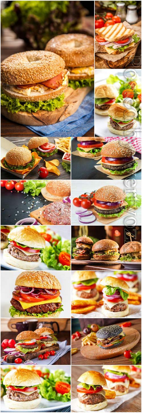 Appetizing burgers stock photo