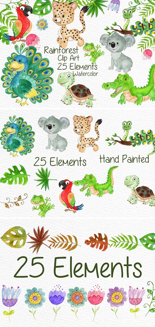 Rainforest Animals Watercolor Clip Art