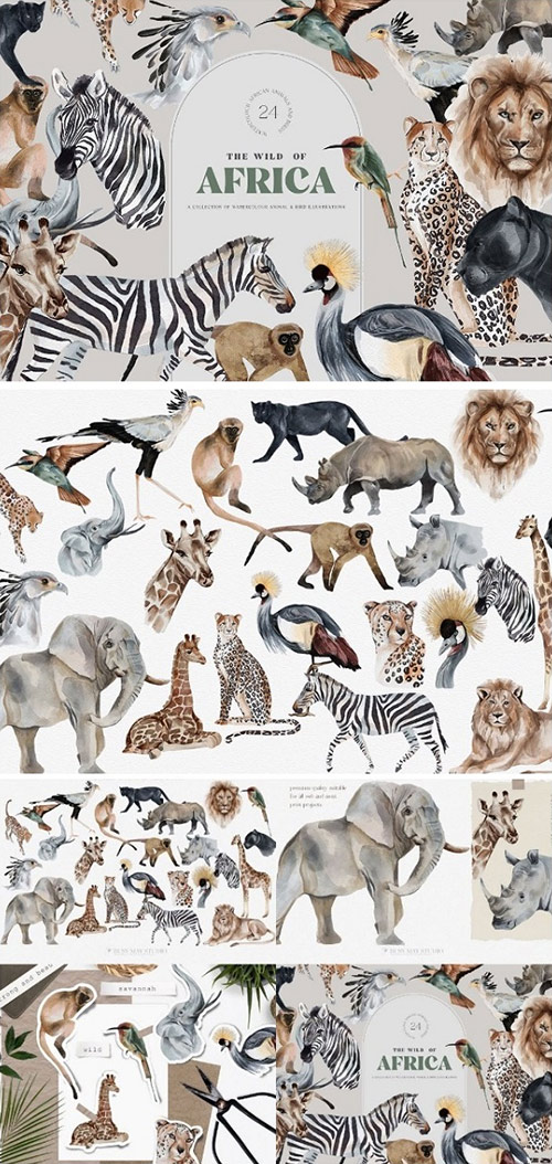 Wild Animals of Africa Clipart Set