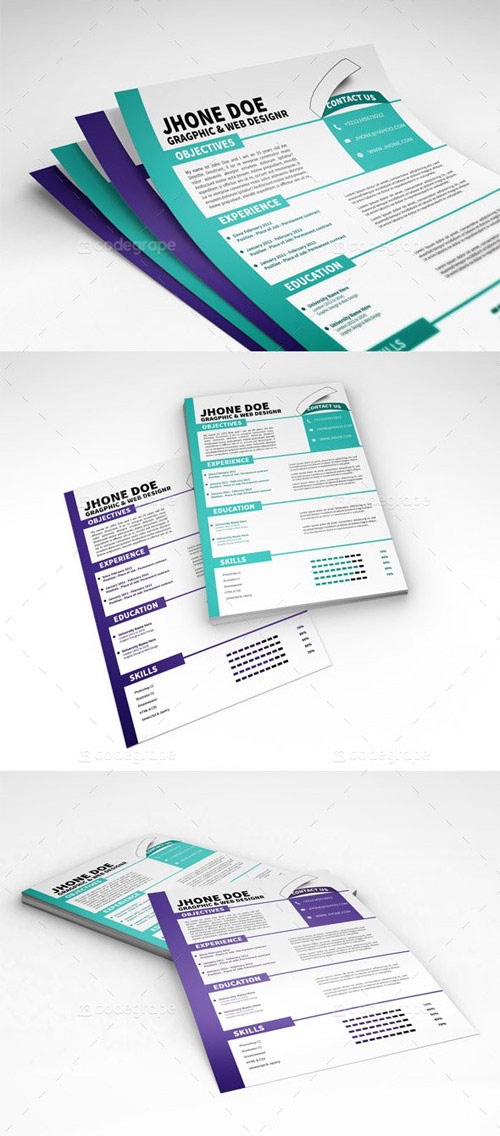 Clean Resume Template 5186