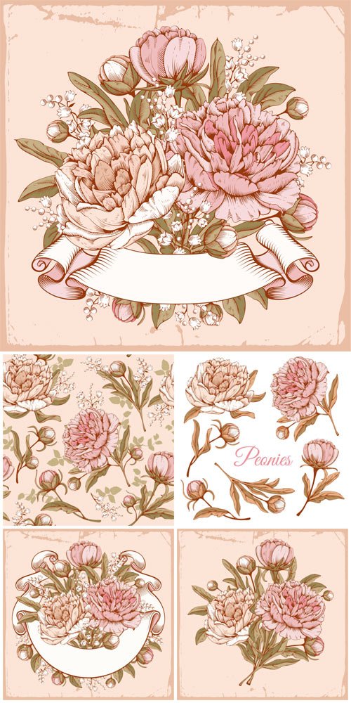 Vintage vector background with peony
