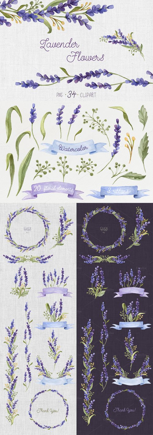 Watercolor set with Lavender Flowers 272472