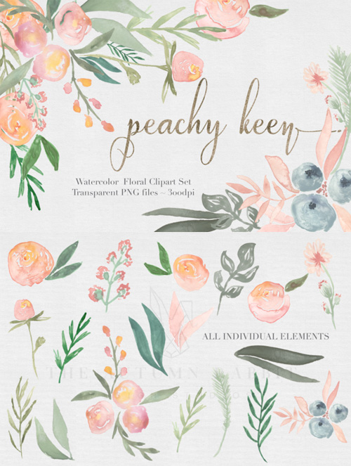 Peachy Keen Watercolor clipart Set 476836