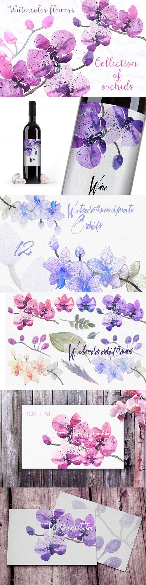 12 Watercolor Orchids 231944