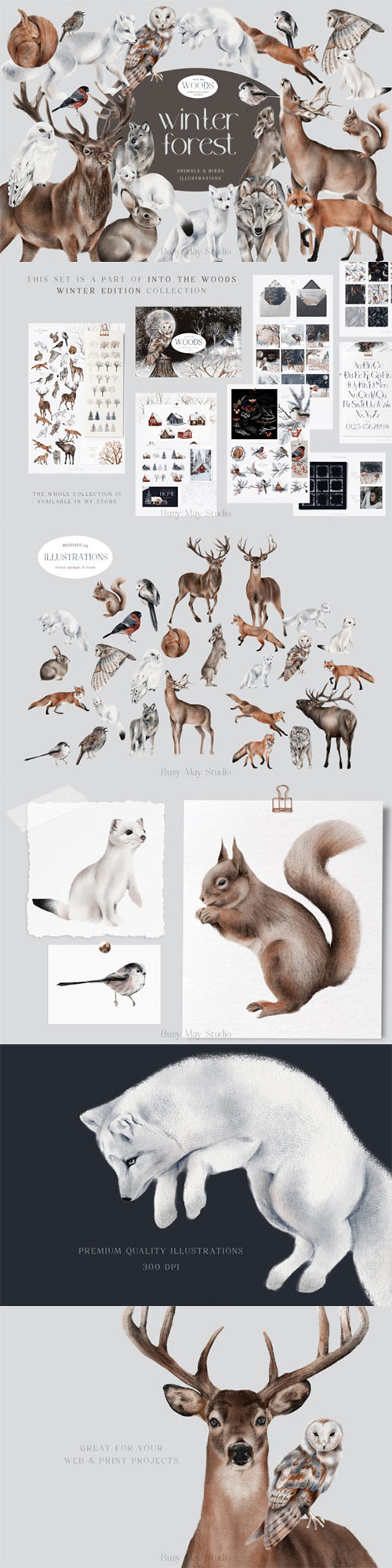 Winter Forest Animals and Birds PNG 18762380