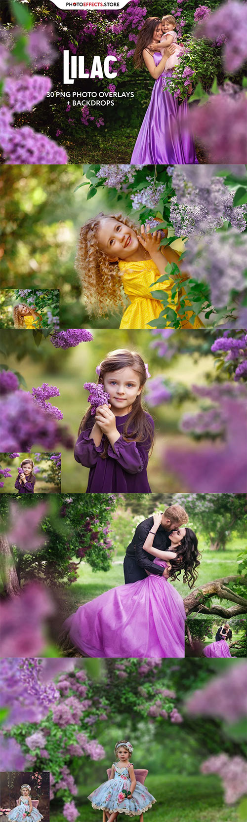 30 Lilac Photo Overlays 6542496