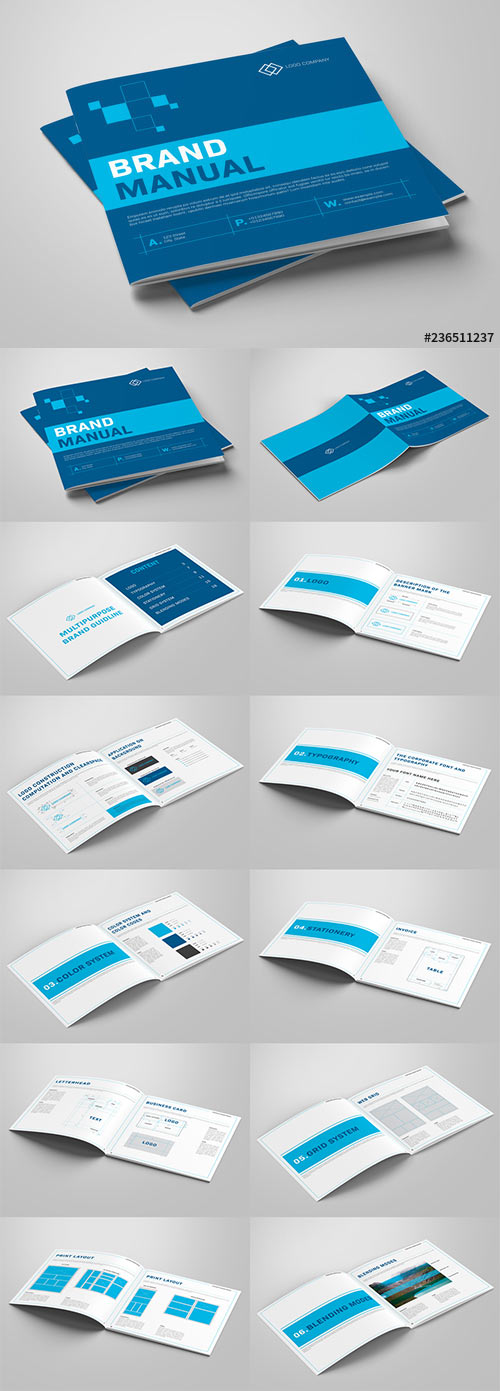 Brand Manual Layout with Blue Accents 236511237