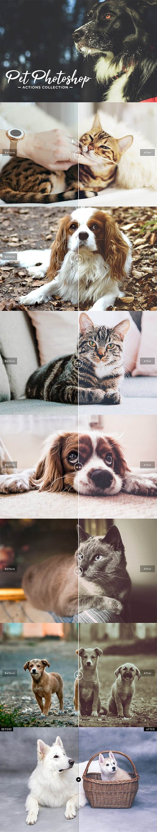 Pet Photoshop Actions Collection 2753974
