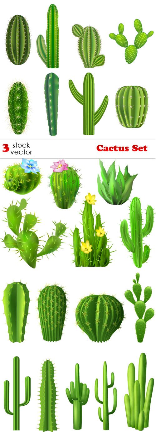 Vectors - Cactus Set