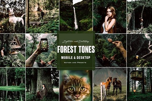 Forest Tones - Photoshop Actions Lightroom Presets
