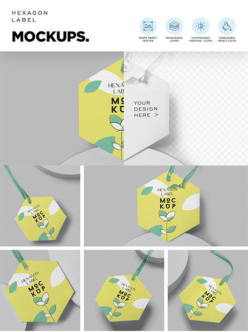 Hexagon Hang Tag Label Mockups 6860018