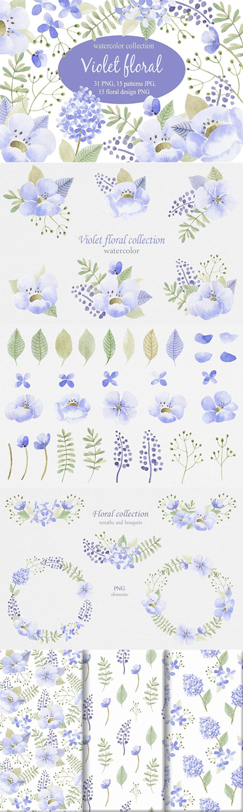 Violet flowers. Watercolor collection 14169