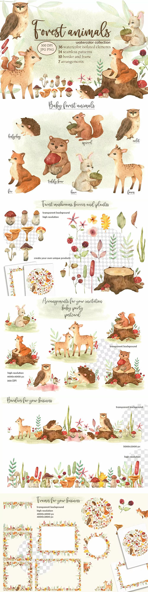 Forest animals watercolor collection 1640864