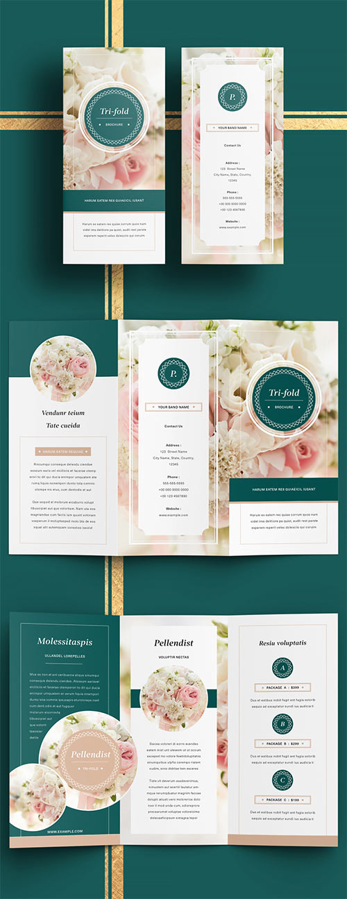 Business Trifold Brochure Layout with Dark Green Accents