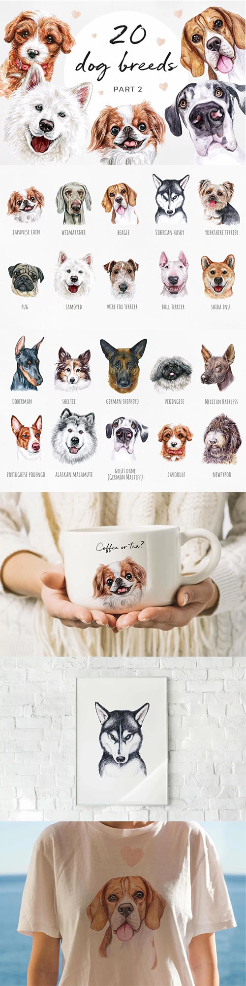 PART 2. Watercolor illustration set DOG breeds. Cute 20 dogs 535399