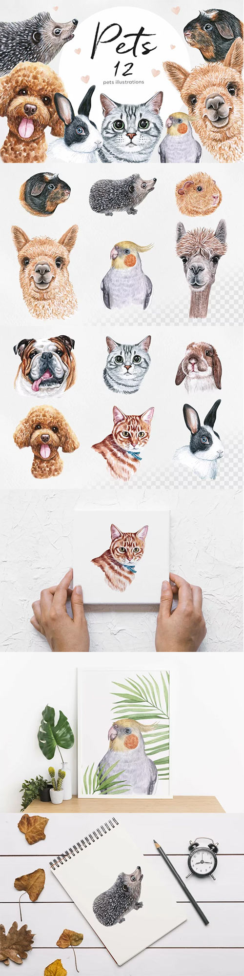 Watercolor set PET illustrations. Cute 12 pets 722123