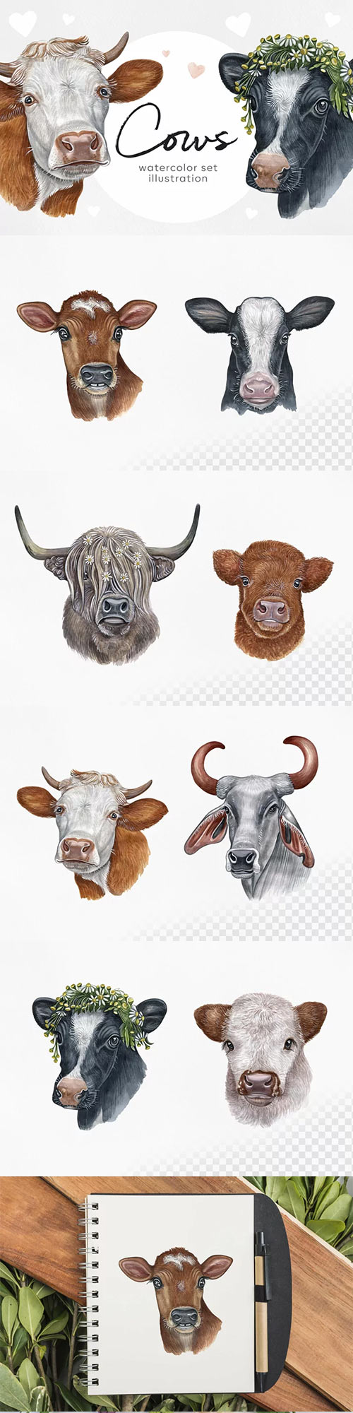 Watercolor set cute cows illustrations. 8 cow/ox 912257