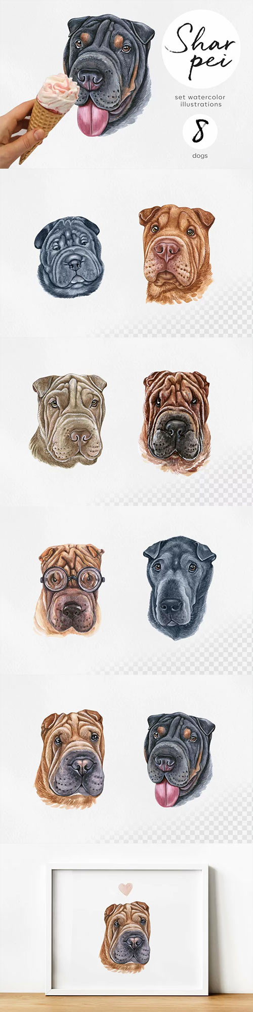Shar Pei. Watercolor dog set illustrations. Cute 8 dogs 854551