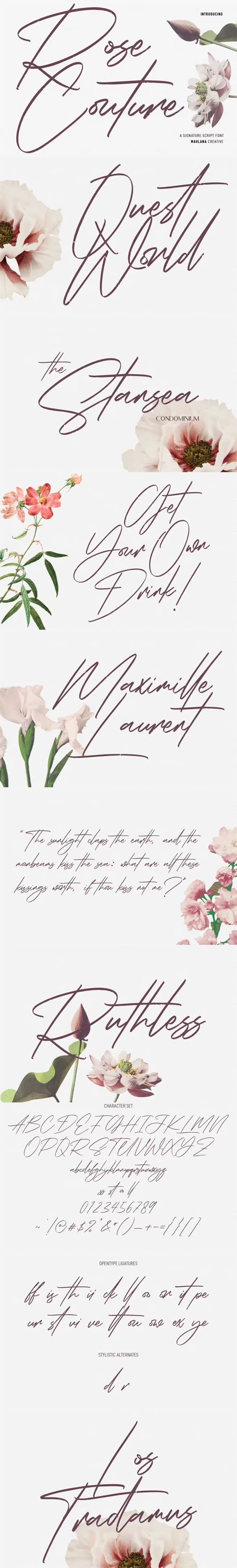 Rose Couture - Signature Script Font