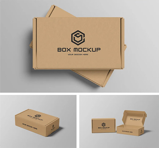 Box Mockup 7317687
