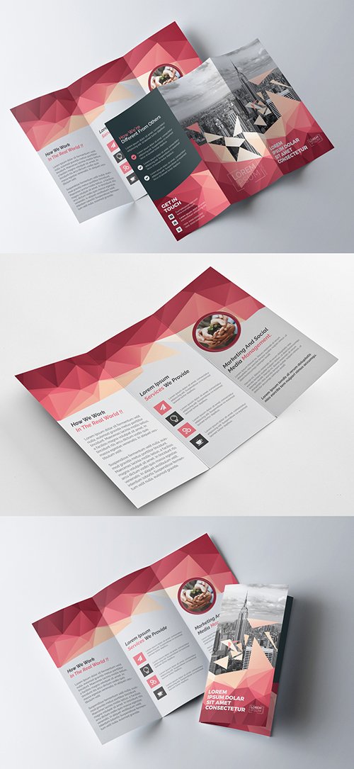 Tri-Fold Brochure Layout with Geometric Accents