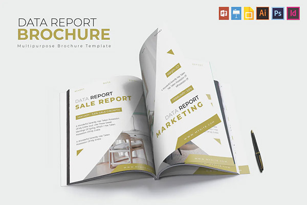 Data Report | Brochure Template