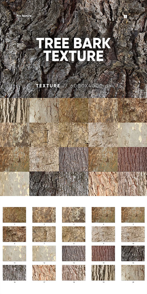 20 Tree Bark Textures 7488659