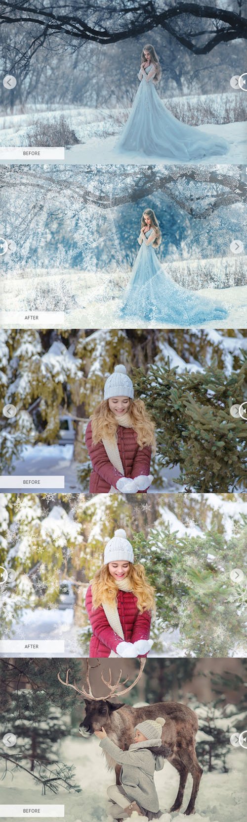 Frost Overlay Collection - 30 Creative Winter Overlays