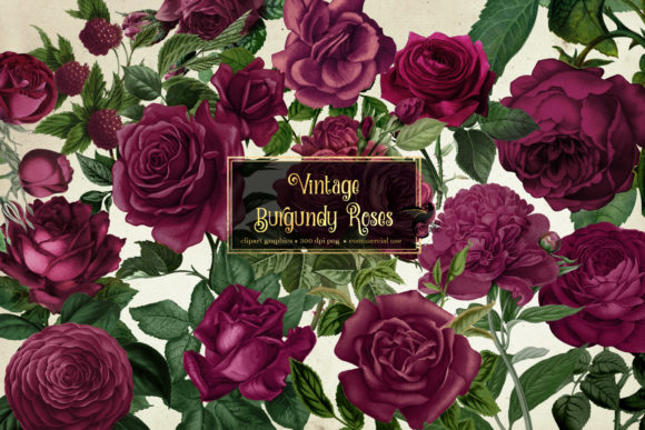 Vintage Burgundy Roses Clipart 17233543