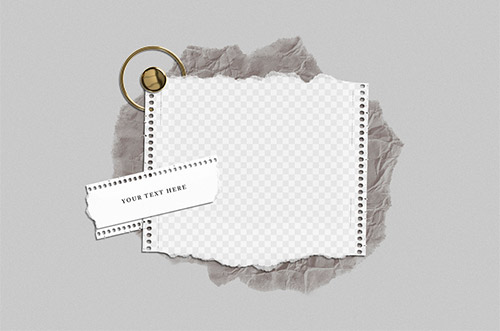 Mockup with Piece of Torn Paper and Gold Design Elements 540708796