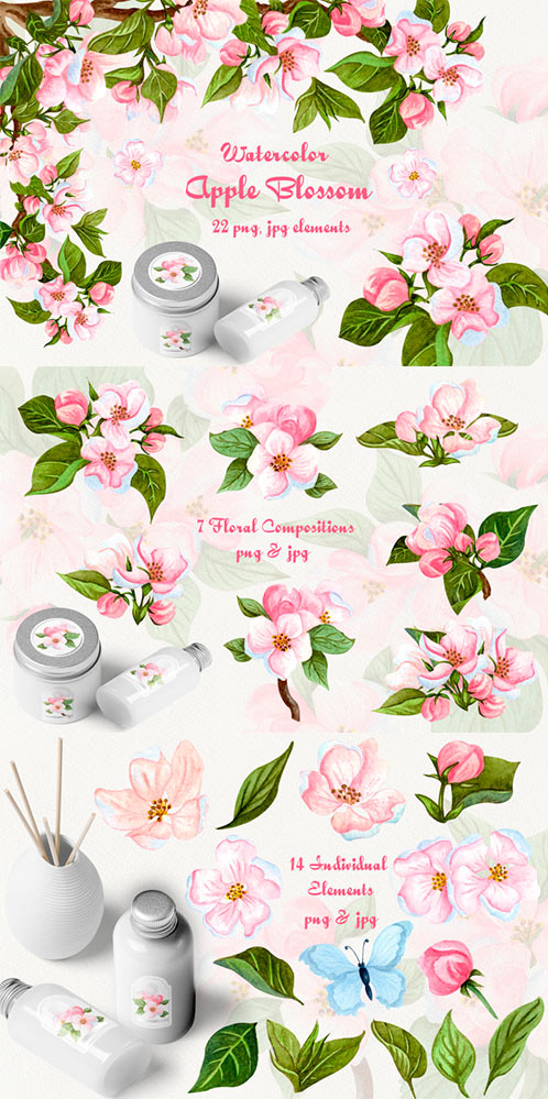Apple Blossom Watercolor Clip Art
