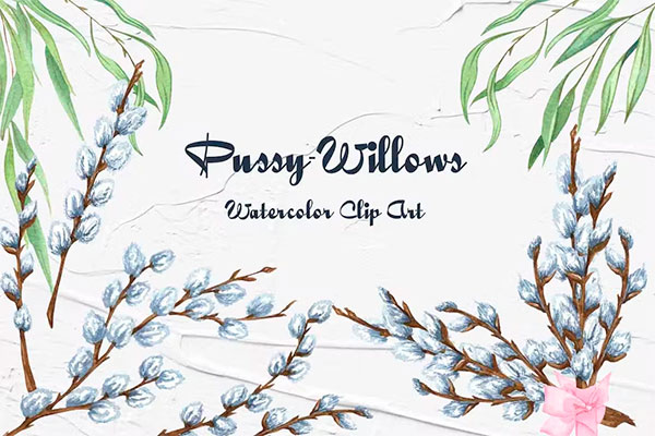 Spring Pussy Willow Watercolor Clip Art