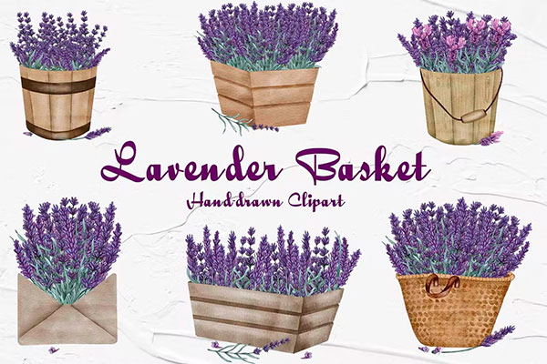 Lavender in a Basket Watercolor Clipart