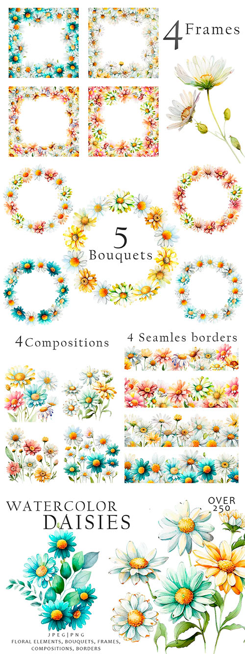 Watercolor Daisies Flowers Clipart 13427410
