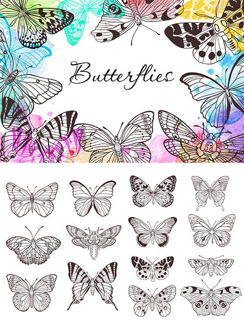 Butterflies PNG and Vector Set
