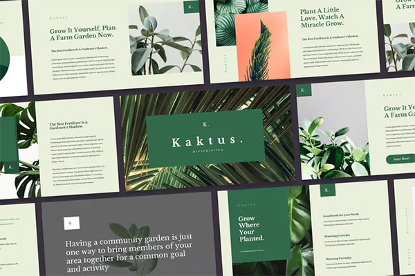 Kaktus - Elegant Powerpoint Template