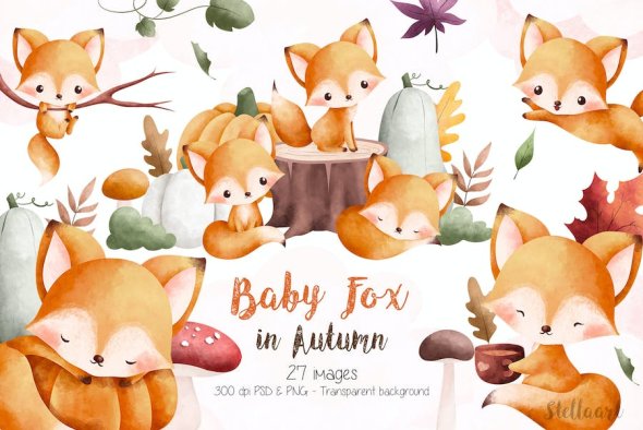 Baby Fox in Autumn Season QJYD6W2