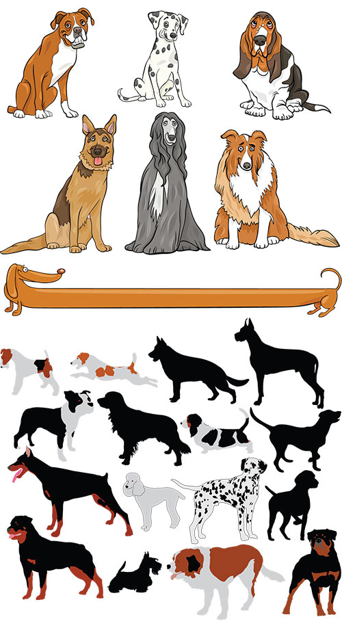 Vectors - Different Dogs Set