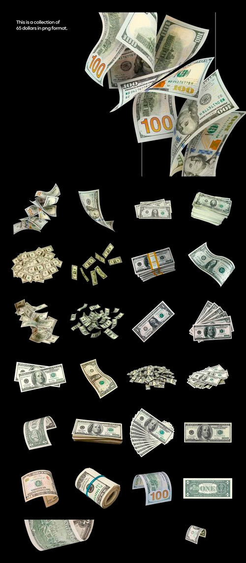 Professional Dollars PNG Collection