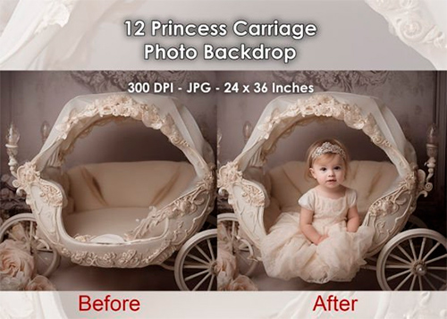 12 Princess Carriage Photo Backdrop