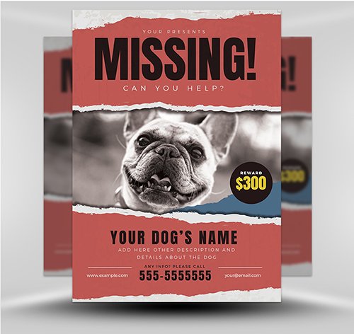 Lost Dog Flyer Template 5