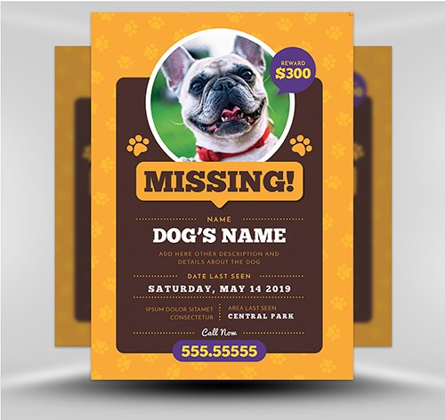 Lost Dog Flyer Template 3