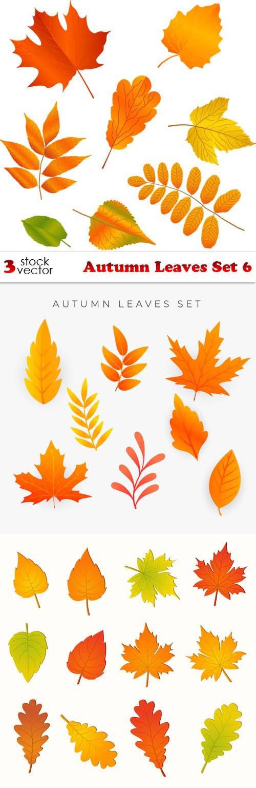 Vectors - Autumn Leaves Set 6