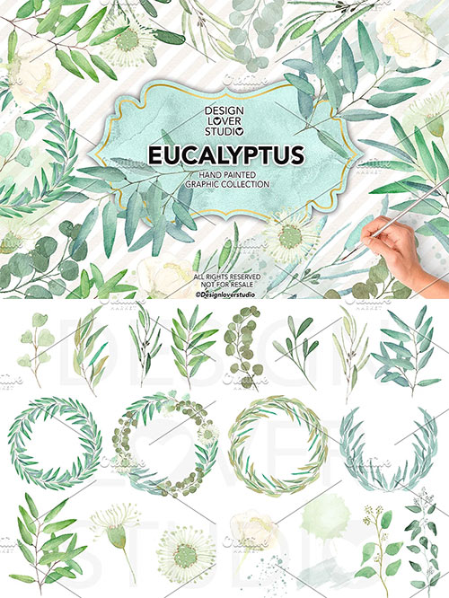 Watercolor Eucalyptus Leaves