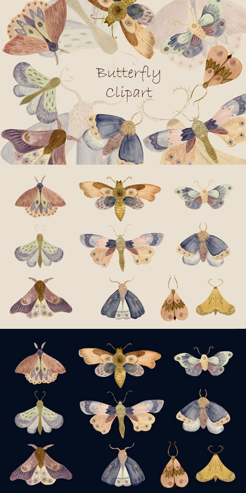 Watercolor Butterfly Moth 18750267