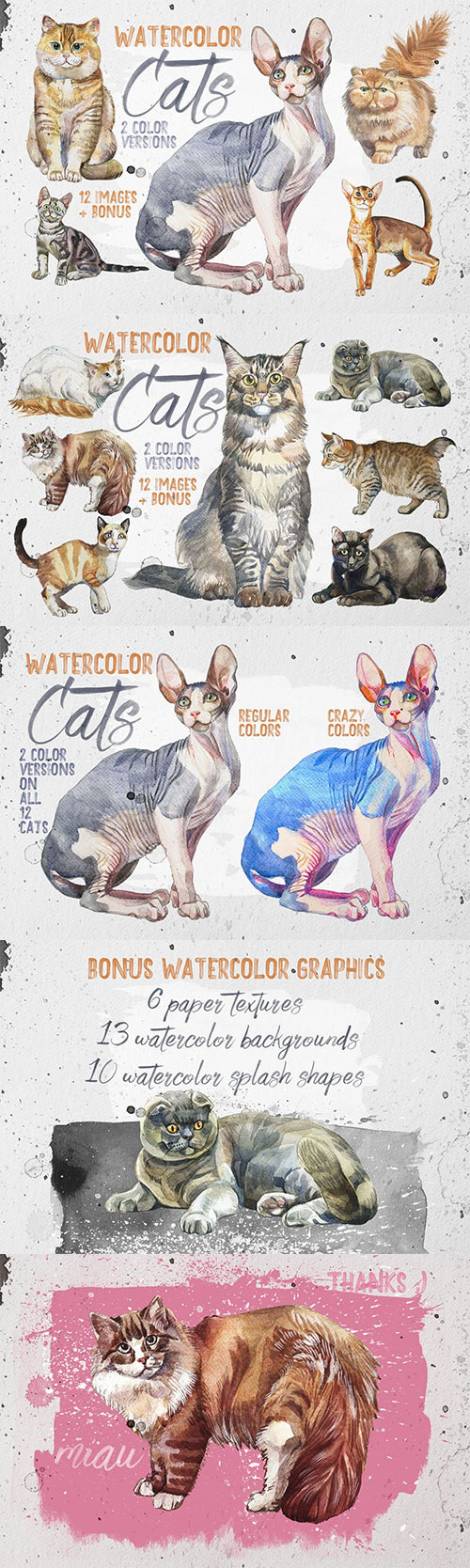 Beautiful Realistic Watercolor Cats 10891021