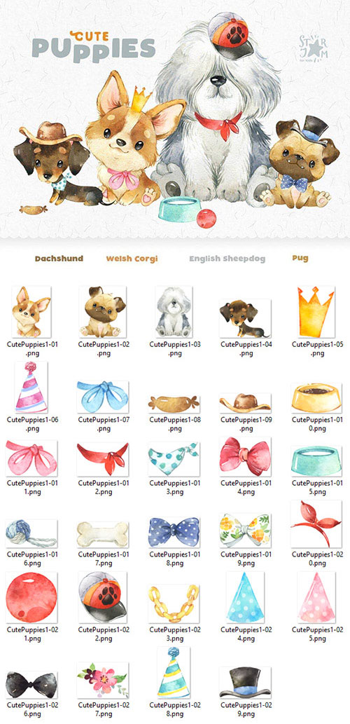 Cute Puppies - PNG Clipart
