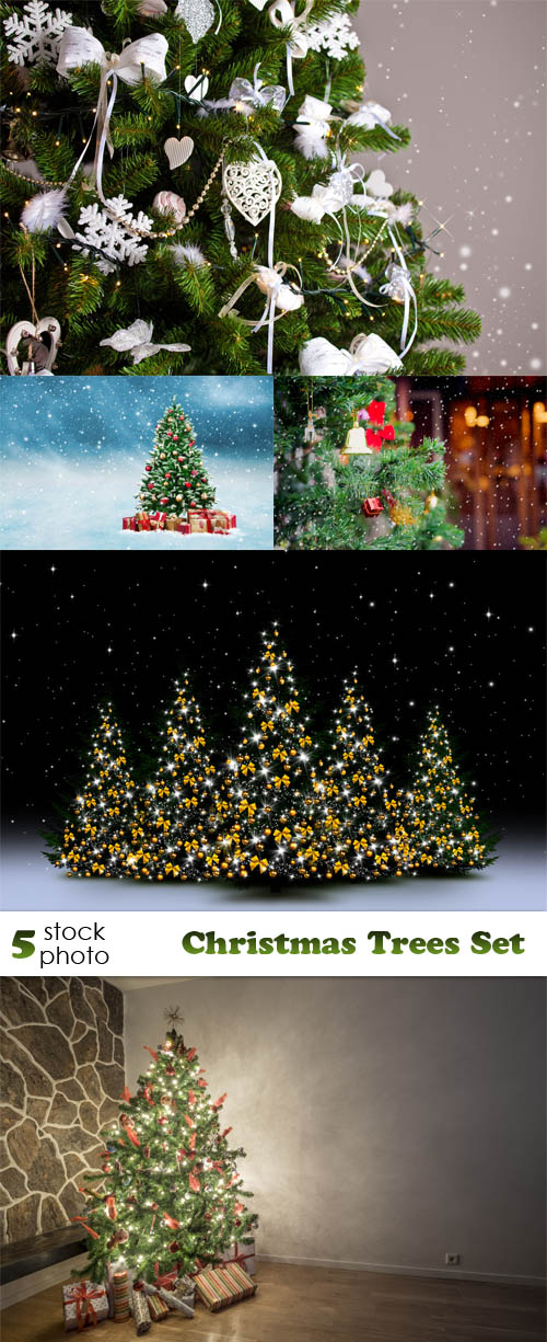 Photos - Christmas Trees Set